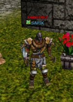 resim_2025-05-25_213816241.png